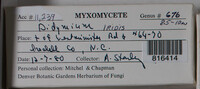 Image Associated With the Occurence